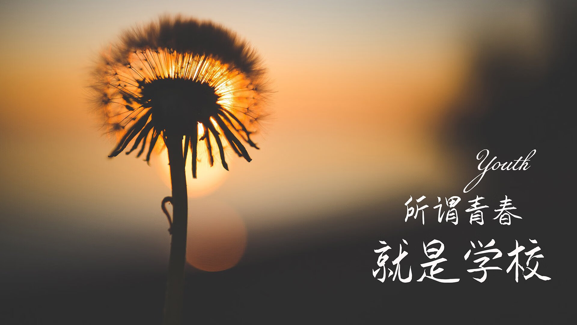 开云体育APP-_鹈鹕奋勇拼搏，战胜热门球队_，鹈鹕秒懂