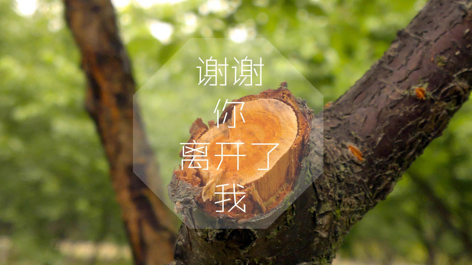 “北极雪地：冰封战场上的极限追击”，北极雪山