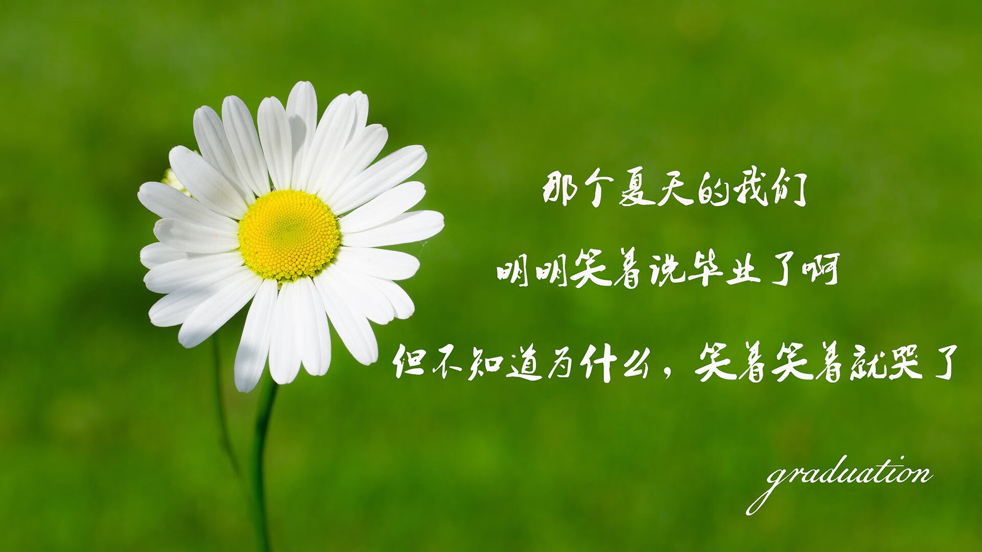 “西甲激烈博杀，场面火爆溢出屏幕”，西甲比赛结果f万博
