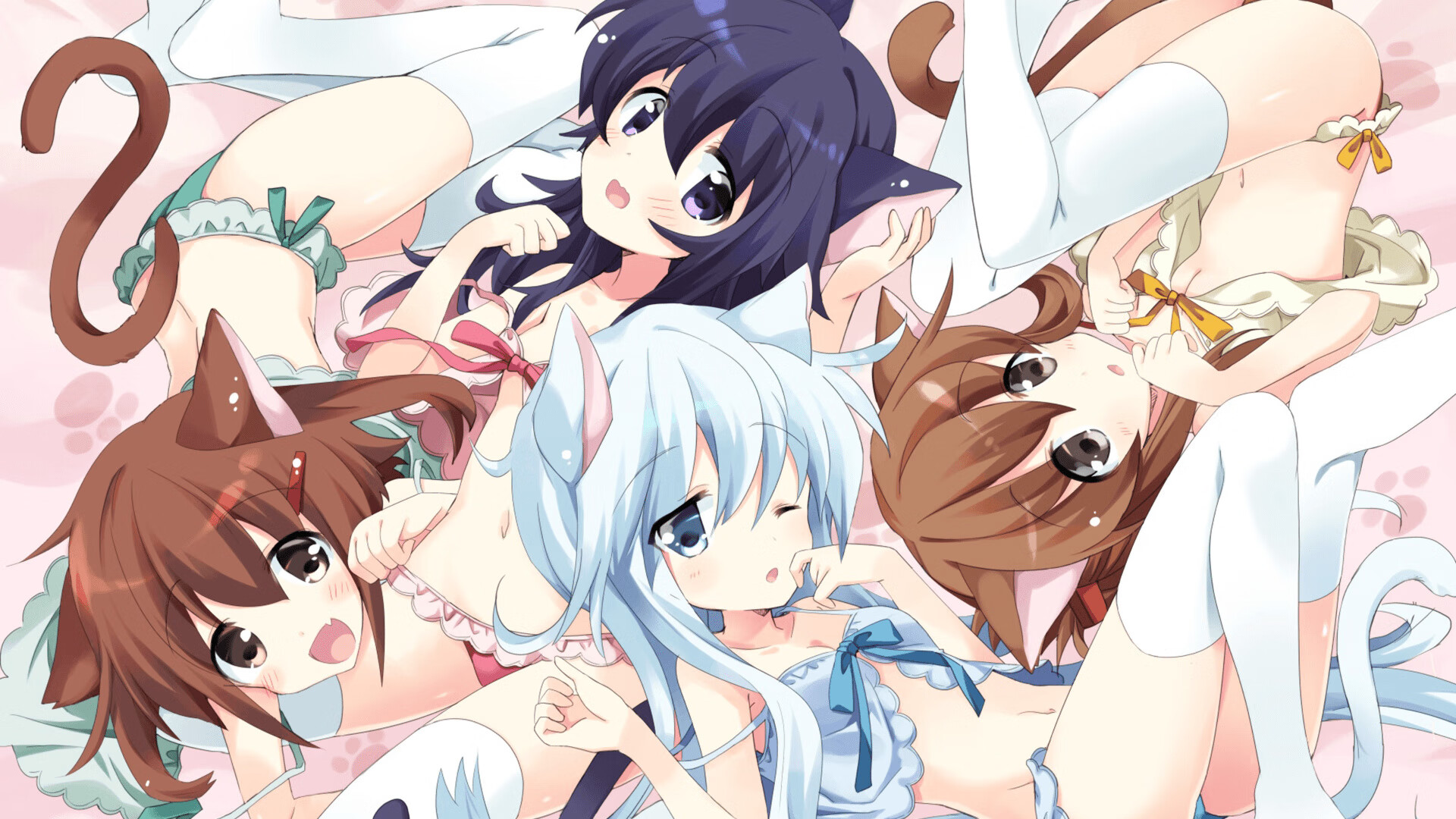 马术障碍赛,优雅骑手的速度较量,马术障碍训练图册