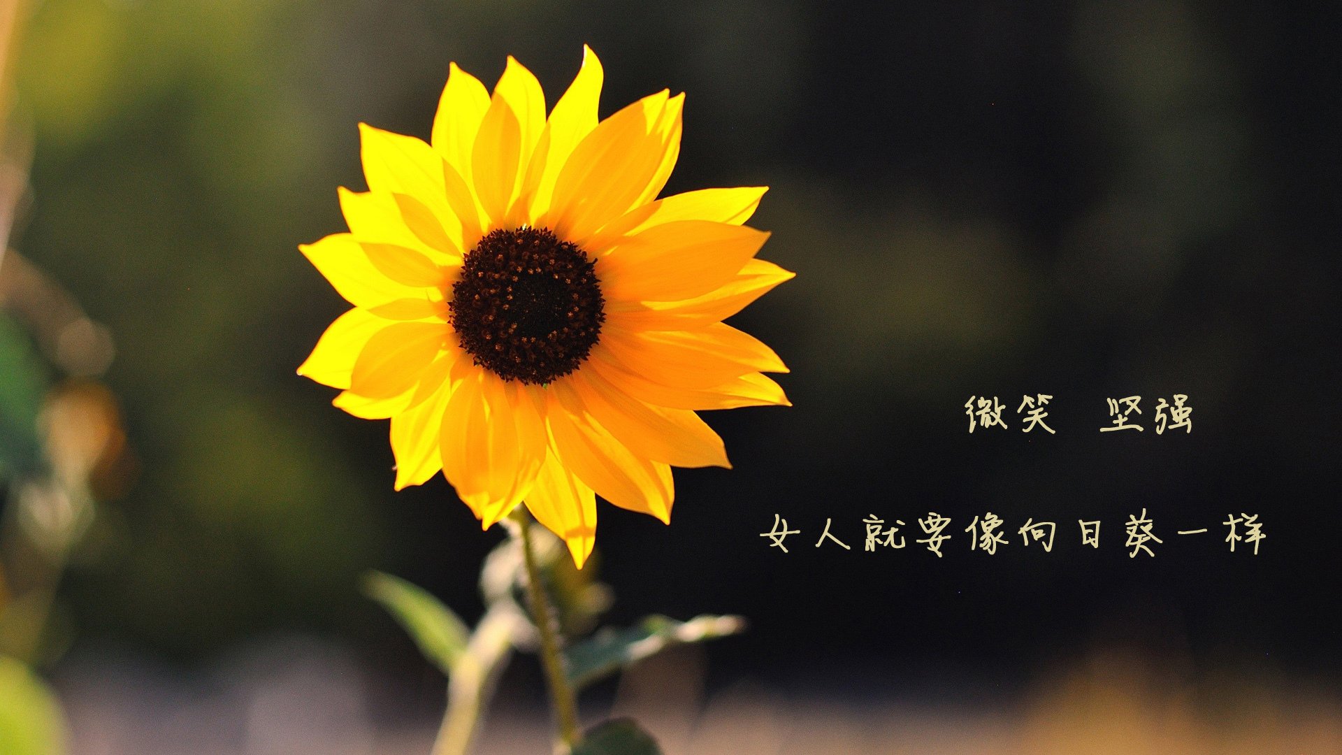 G联赛球员交易引关注,g联赛得分榜