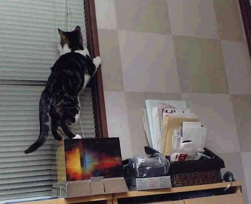 中国足球文化活动多样,促进全民参与,中国足球文化活动多样,促进全民参与