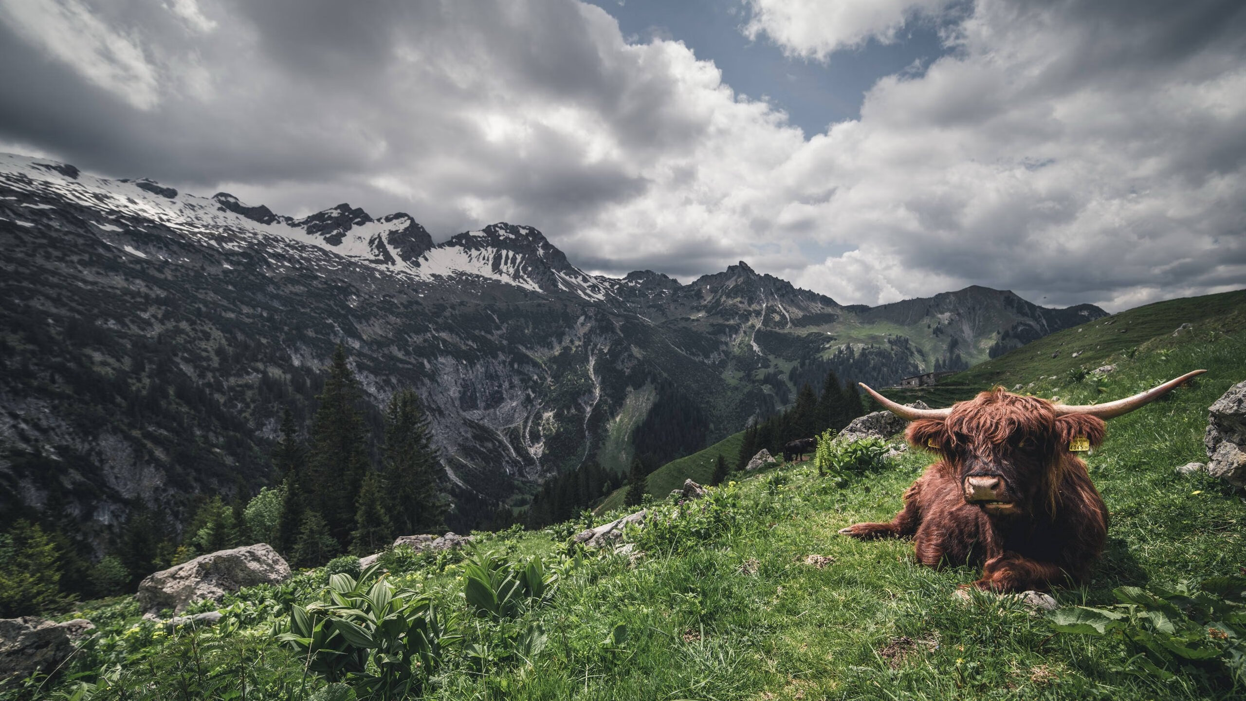 克利斯蒂亚诺·罗纳尔多领衔葡萄牙队夺胜,继续前进,最终,拥有超级巨星克里斯蒂亚诺·罗纳尔多的葡萄牙队