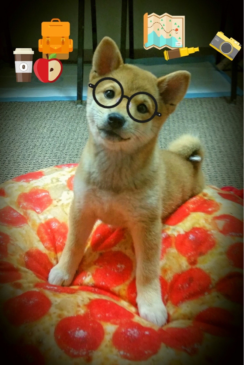 公牛险胜快船,常规赛巅峰对决中德罗赞篮下统治全场,公牛退役罗德曼球衣了吗