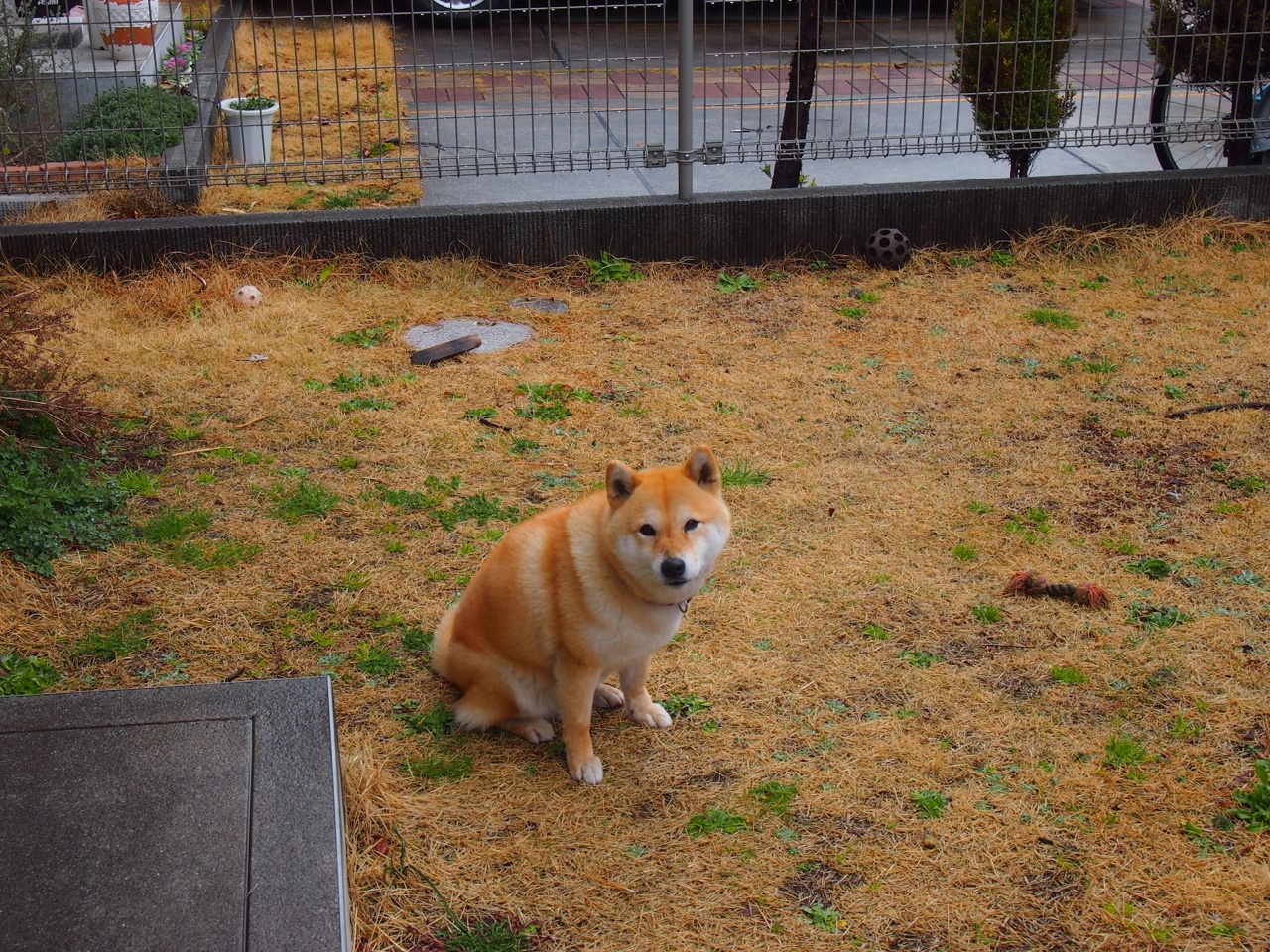 北京中赫国安锋矢铿锵,争取晋级八强,北京中赫国安吧