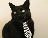 斯图加特客场不败,稳固中游位置,斯图加特足球俱乐部主场