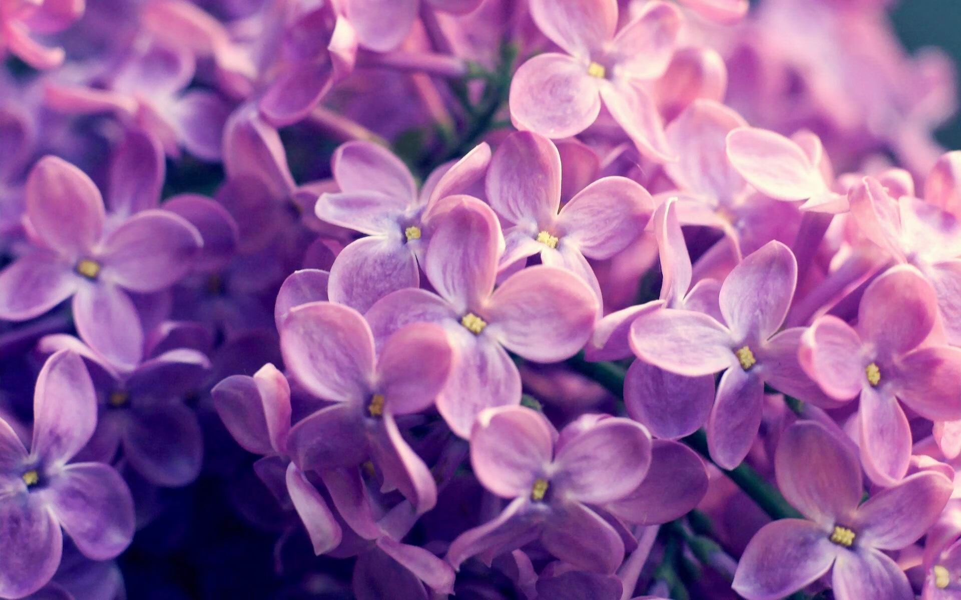 中国职业篮球俱乐部青训发展策略,中国职业篮球俱乐部青训发展策略是什么