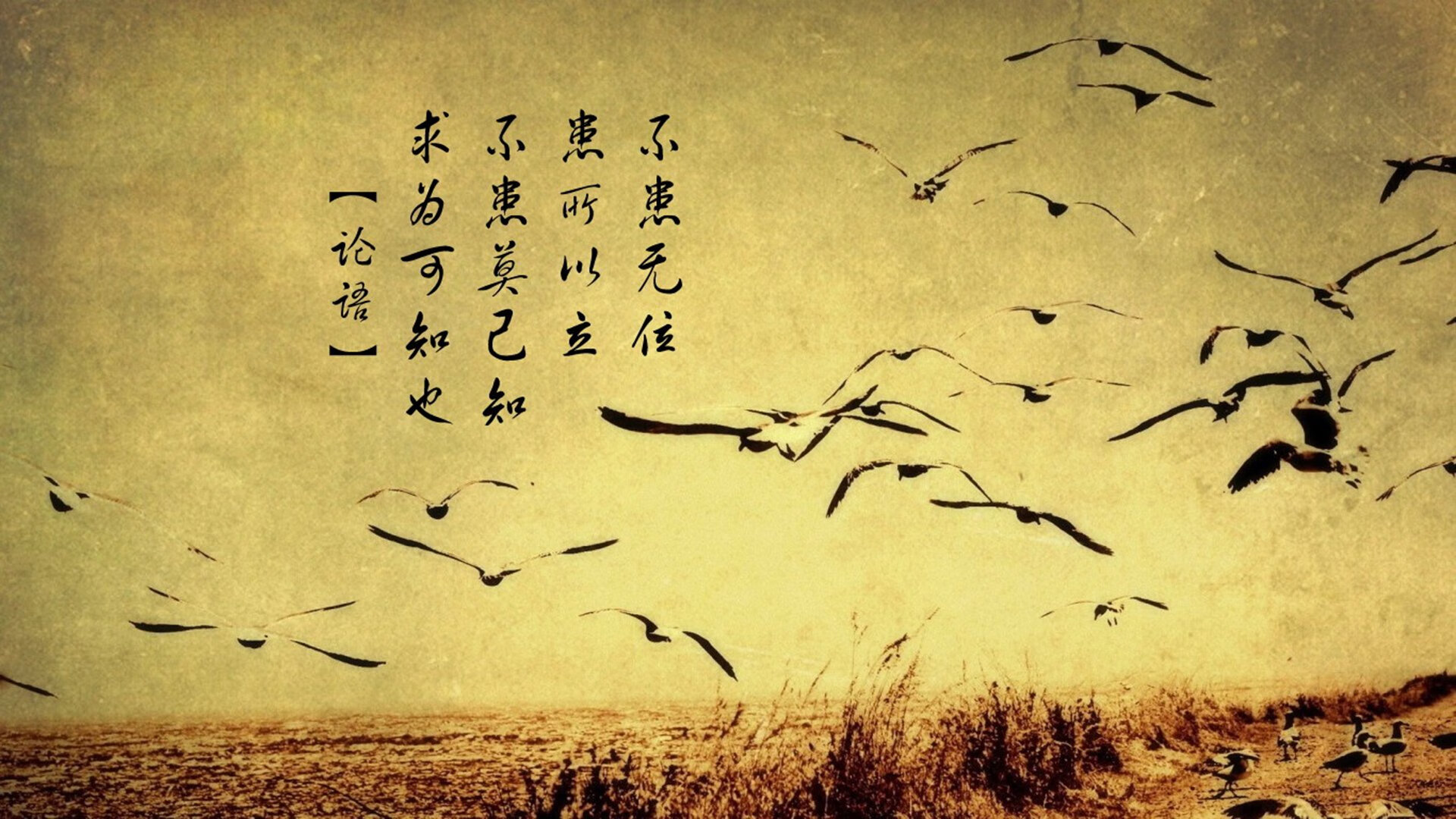 体育产业资本市场分析报告,现代体育产业体系分析报告