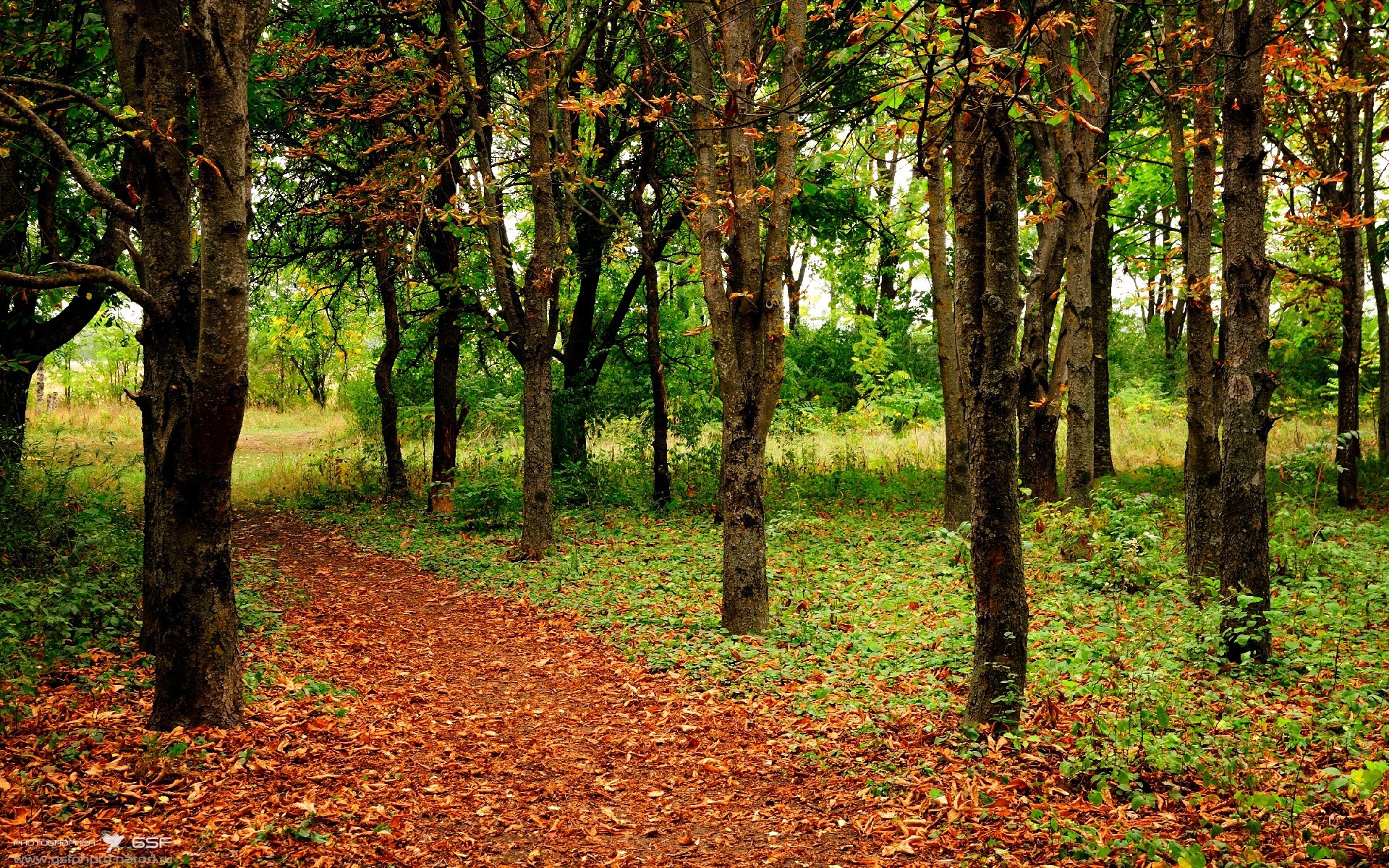 CBA赛季裁判判罚透明公正,cba裁判何时整治