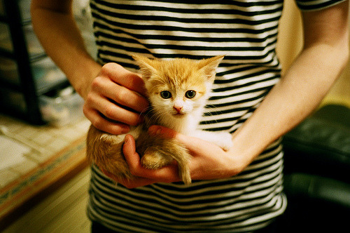 世运坚持“无新建”原则,场馆绿色升级完成